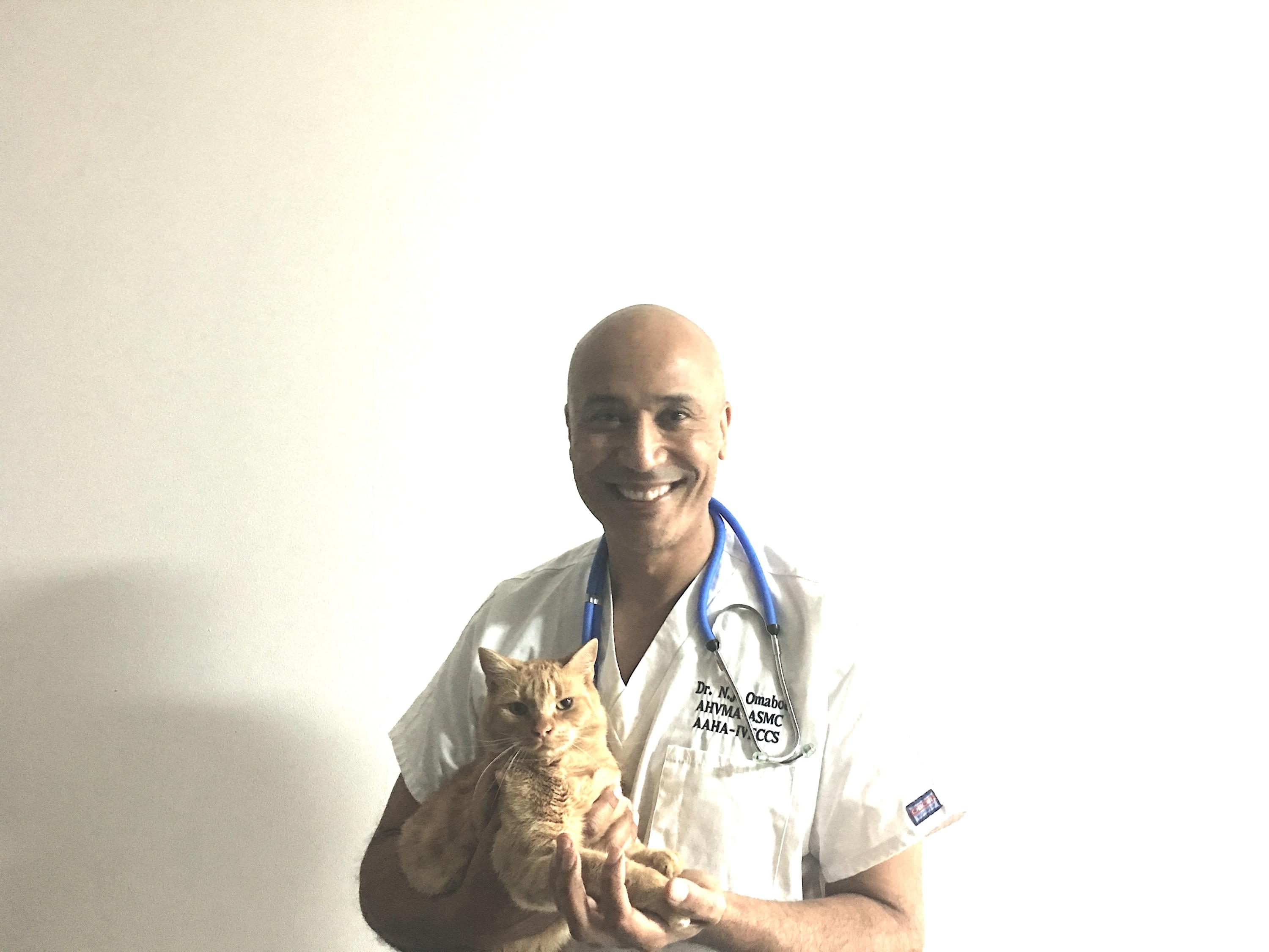  Cabinet Vétérinaire International,Geneva Veterinarian, veterinarian Geneva