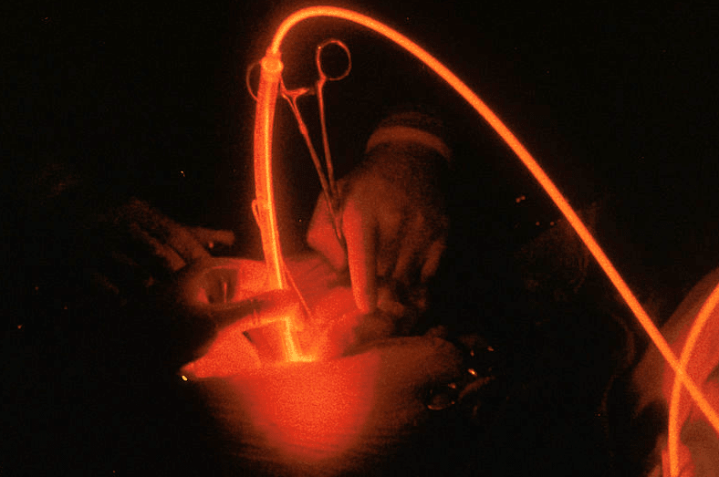  Cabinet Vétérinaire International, Geneva Veterinarian, veterinarian Geneva