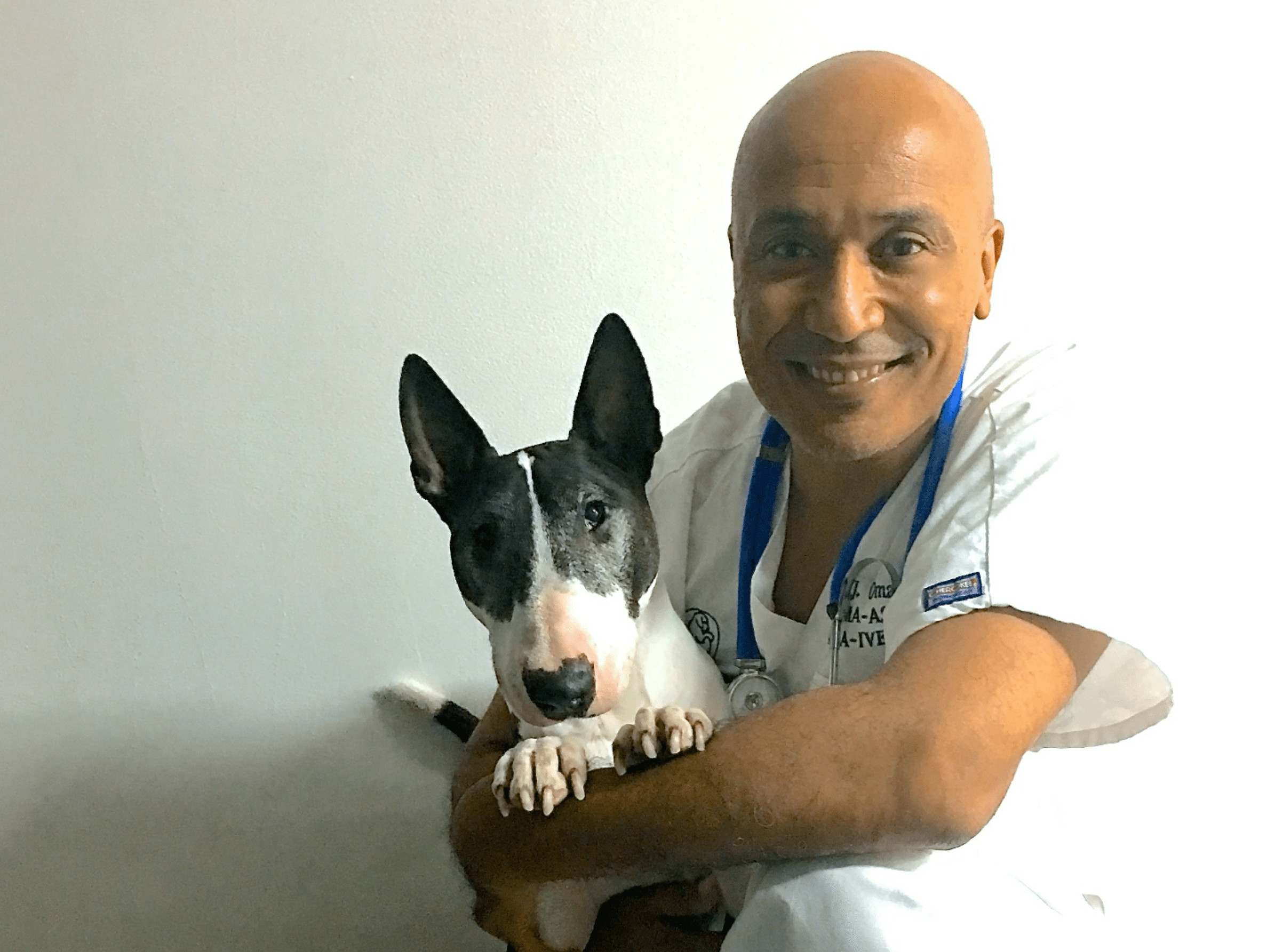  Cabinet Vétérinaire International, Geneva Veterinarian, veterinarian Geneva